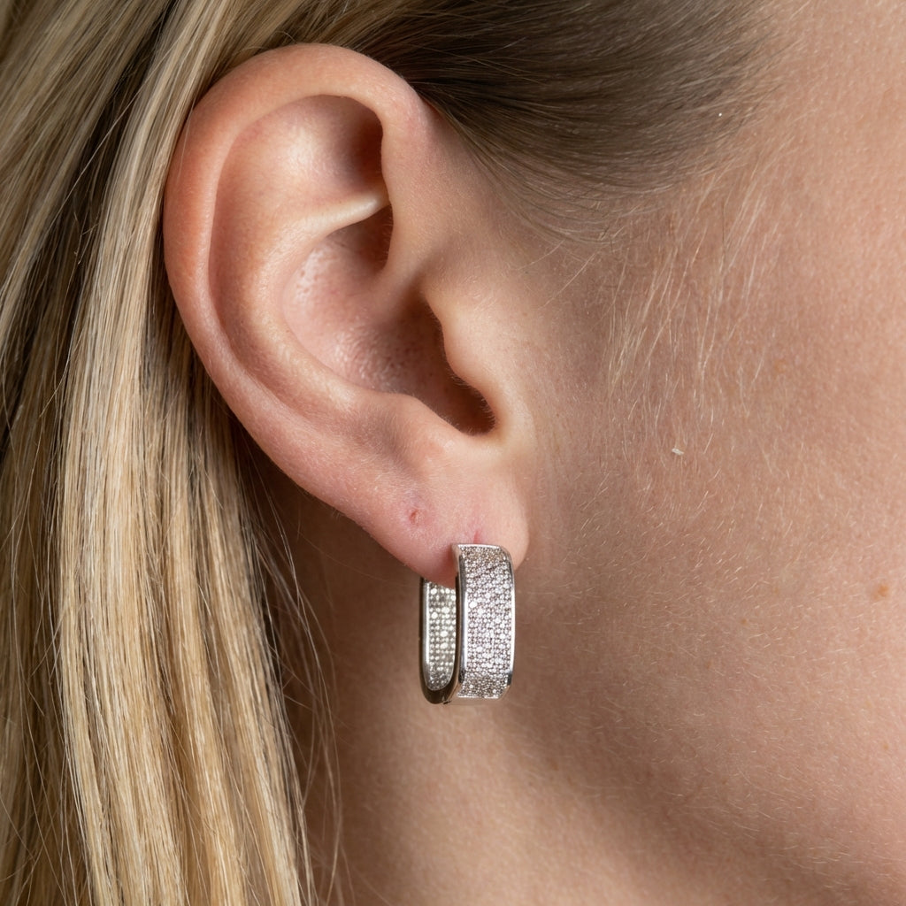Emilia B2010 earrings - Silver on model H