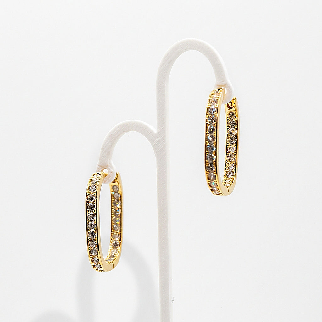 Pair of gold earrings on white background