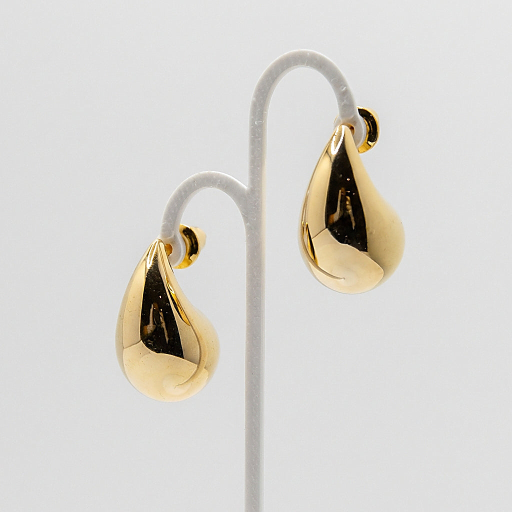 Pair of gold drop earrings on white background