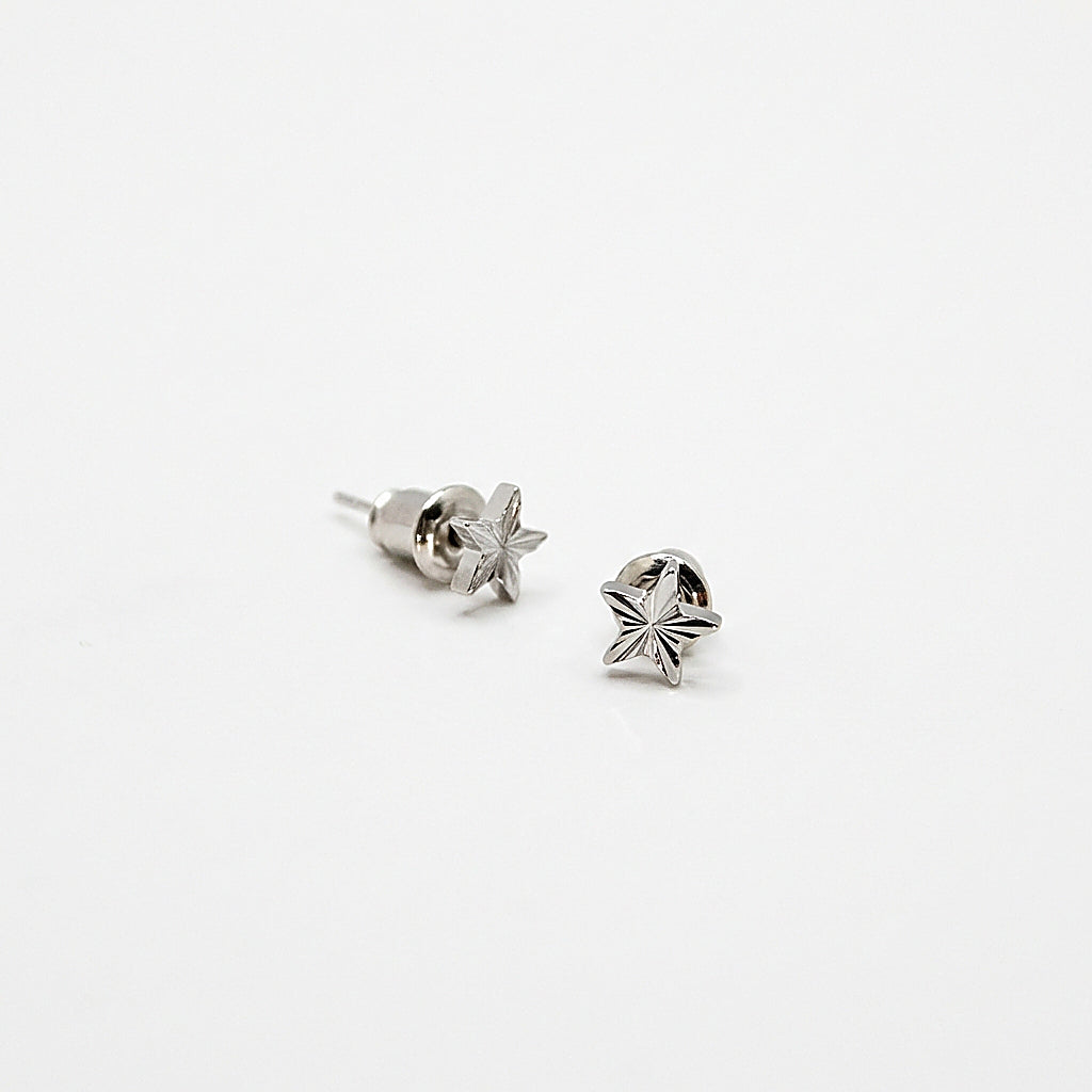 Pair of silver stud earrings on white background
